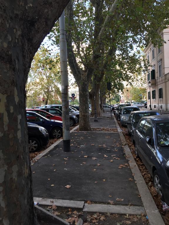 Giulio Cesare Luxury Apartment Rom Exterior foto